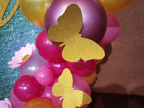 Butterfly Birthday - Rathna - December 2019 - photo 6