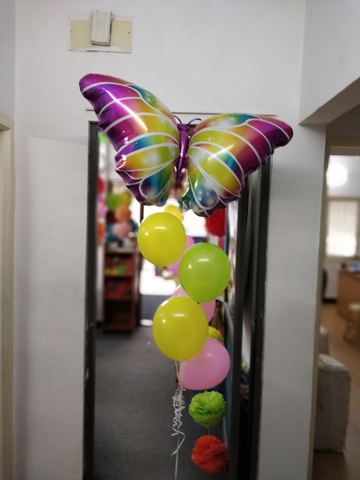 Butterfly Birthday - July 2018 - photo 5