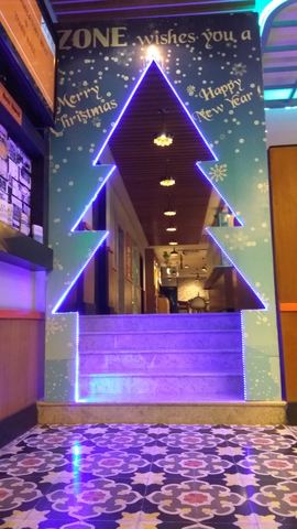 Christmas Decorations - Zone 2016 - March 2010 - photo 1