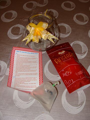 Circus Birthday - Residency - Poongi - March 2008 - photo 11