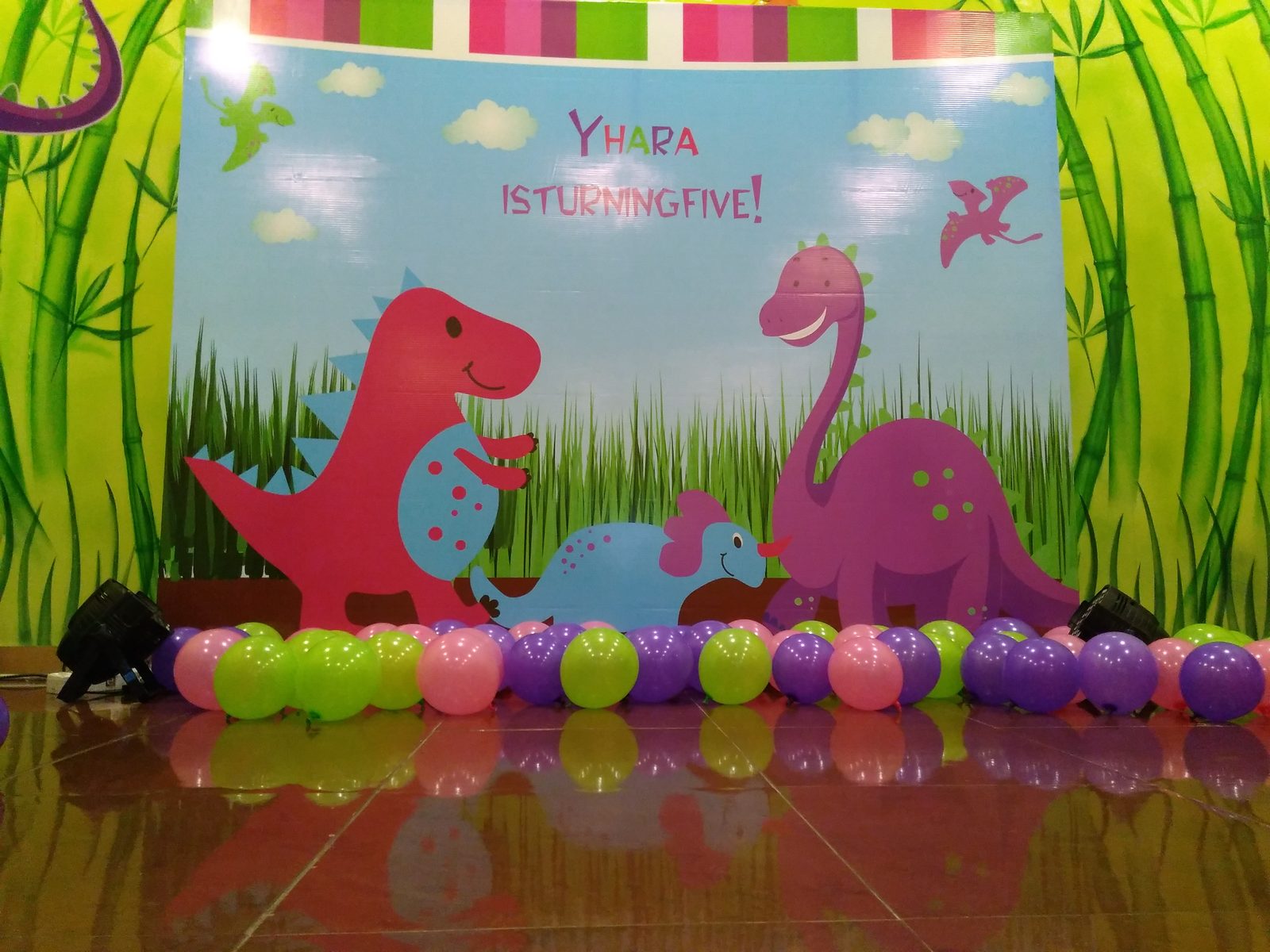 Dinosaur Birthday - Pink Dinosaur - June 2018