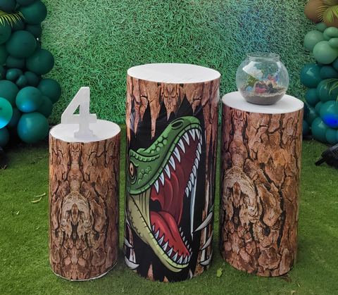 Dinosaur Birthday - photo 7