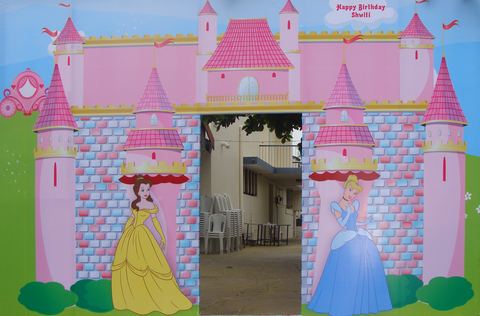 Fairy - Pollachi Disney Princess - May 2014 - photo 15