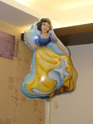 Fairy - Saibaba Colony - December 2013 - photo 5