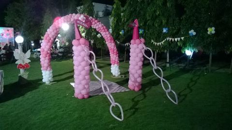 Fairy - Tirpur - November 2013 - photo 4