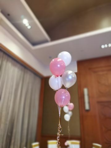Flower - Taj - November 2018 - photo 20