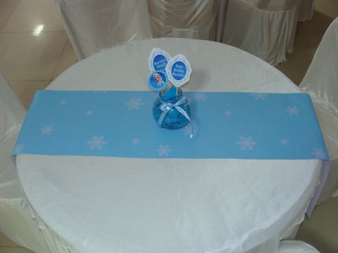 Frozen Birthday - Priya Vision - June 2009 - photo 13