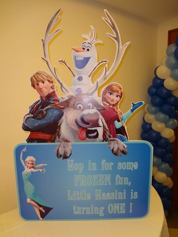 Frozen Birthday - Karur - September 2014 - photo 8