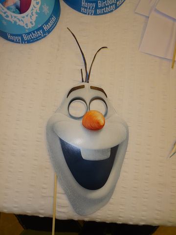 Frozen Birthday - Karur - September 2014 - photo 22
