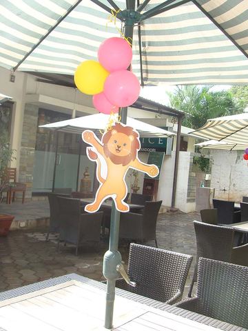 Jungle Birthday - September 2013 - photo 4