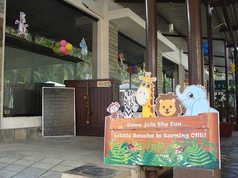 Jungle Birthday - September 2013 - photo 1