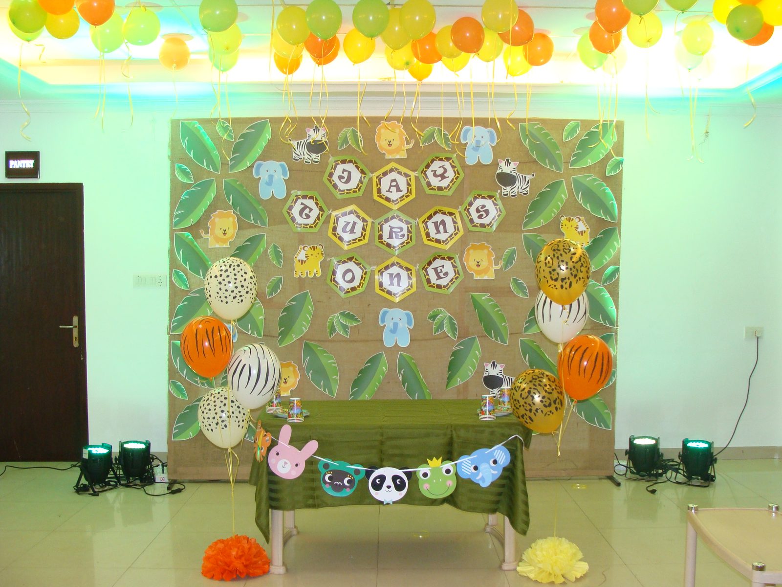 Jungle Birthday - Kerela Club - Sack backdrop - March 2010