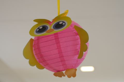 Owl - Tirupur - June 2008 - photo 16