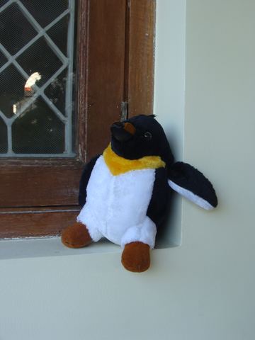 Penguin Party - September 2013 - photo 20