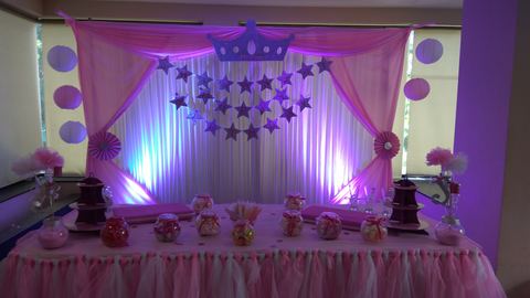 Princess Birthday - Swetha Podar - June 2017 - photo 11