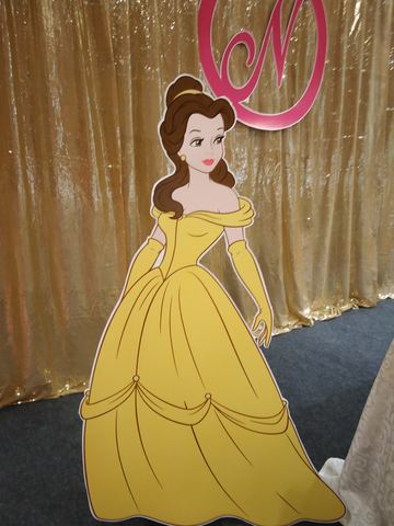 Princess Birthday - Taj Gold Backdrop - November 2019 - photo 9