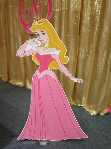 Princess Birthday - Taj Gold Backdrop - November 2019 - photo 8