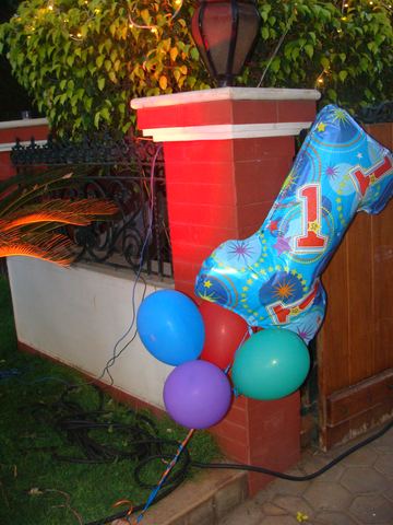 Rainbow Birthday - Tirupur Eastman - June 2014 - photo 26