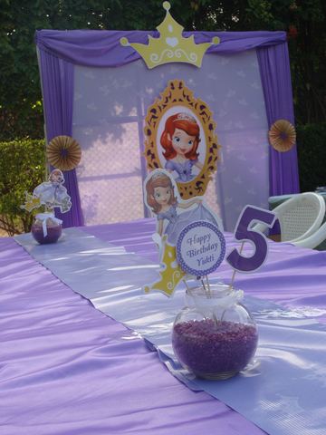 Sofia Princess - Tirupur - Gayathri - November 2009 - photo 9