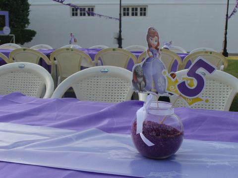 Sofia Princess - Tirupur - Gayathri - November 2009 - photo 8