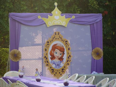 Sofia Princess - Tirupur - Gayathri - November 2009 - photo 30