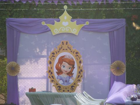 Sofia Princess - Tirupur - Gayathri - November 2009 - photo 18