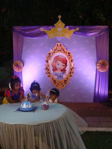 Sofia Princess - Tirupur - Gayathri - November 2009 - photo 66