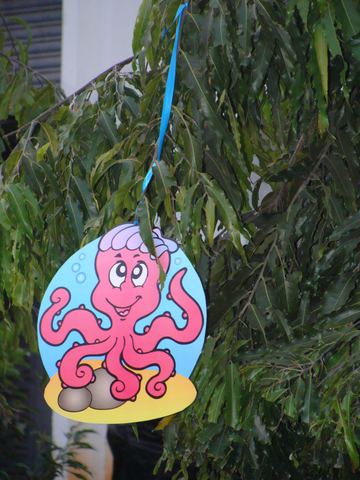 Underwater birthday - Tirpur - January 2014 - photo 9