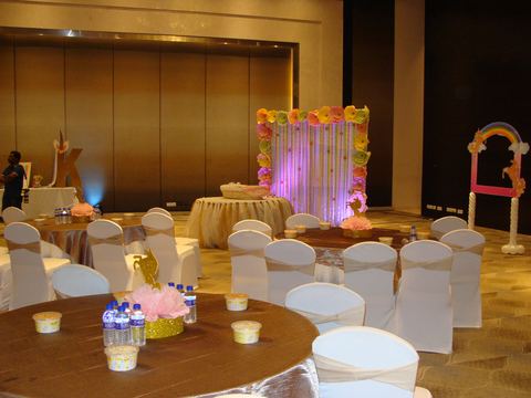 Unicorn theme - Raddison - Zaveri - November 2010 - photo 10