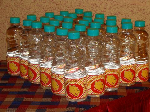 Winnie Pooh Birthday - Tirupur - Velan - February 2008 - photo 21