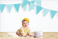 Blue Triangle bunting(10 ft )