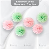 Pink & Green Pom Pom Tassles Birthday Kit