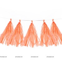 Rose Gold Paper Tassels