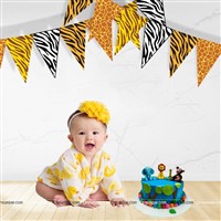 Animal skin printed bunting (10 ft)