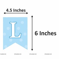 Welcome Baby Boy Kit with Balloons