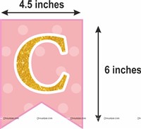 Baby Girl Welcome Decor Kit