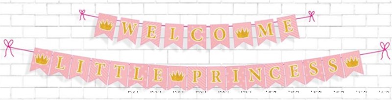 welcome little princess bunting