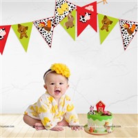 Barnyard Animal Bunting 10ft