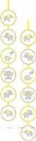 Elephant Banner & Dangler Kit (Pack of 24 pcs)