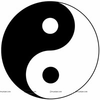 Ying N Yang ceiling hanging