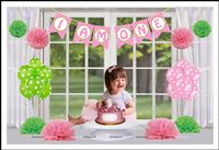 Cake Smash kit for baby girl (Pack of 29 Pieces)