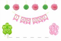 Girl 1st Birthday Cake Smash Photo Shoot kit (Pack of 17 pieces)