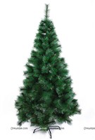 Pine Tree (5 Feet)