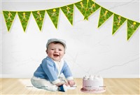 Cricket Theme Triangle Bunting (10 ft)