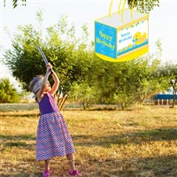Duck Theme Pinata