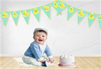 Duck Theme Triangle Bunting (10 ft)