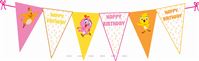 Eena Meena Deeka Party Bunting