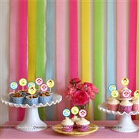 Fairy Princess Cup cake & cake topper set ( Pack of 13)