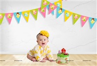 Fairy Princess theme Flag Buntings (10ft)