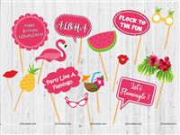 Flamingo Theme Party Photo Props (14 pieces)